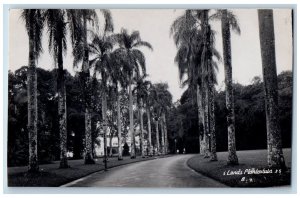 Garut District West Java Indonesia Postcard s Lands Plantentuin c1910 RPPC Photo