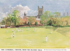 Chester Cricket Ground From Deanery Field Painting Postcard