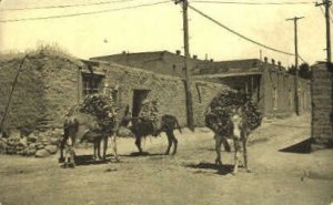 Burros Laden with Wood in Santa Fe, New Mexico