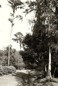 C.1910 RPPC Brookwood Park, Valdosta, GA Postcard P134