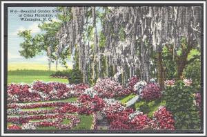 North Carolina, Wilmington Orton Plantation Garden - [NC-031]