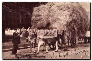 Postcard Old Editions All France Jove Pau (B P) Earth pyreneen A peasant hitc...