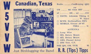 QSL Card Canadian Texas Retriever Dog at Radio W5VVW R.R. Tipps Birddogging