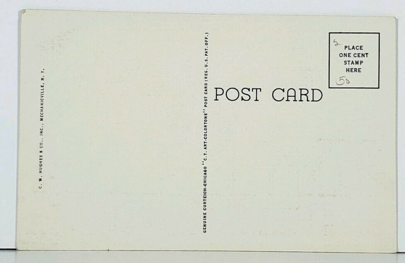 NY State Capitol, Albany N.Y. Vintage Postcard J11