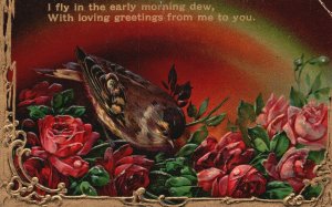 Vintage Postcard 1915 I Fly In The Morning Dew With Loving Greetings From Me To