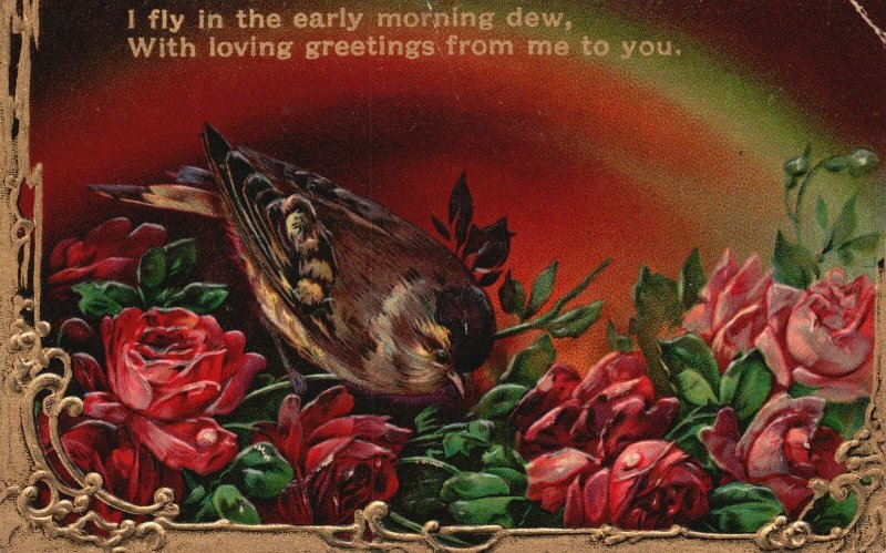 Vintage Postcard 1915 I Fly In The Morning Dew With Loving Greetings From Me To
