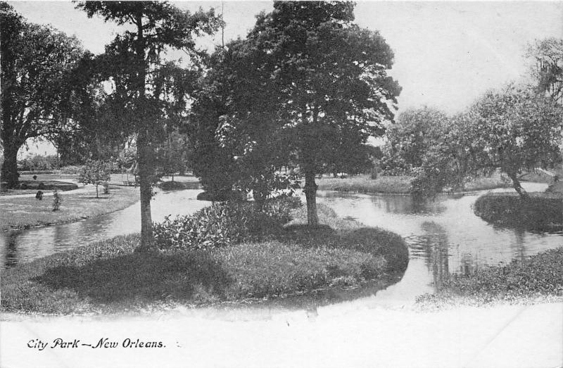 New Orleans Louisiana~City Park~Trees Along Lake~c1905 B&W Postcard