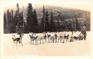 J51/ Sports RPPC Postcard c1910 Alaska Sled Dog Team 34