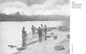 Seining Herring Taunton River Massachusetts  