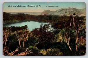 Waitakarei Lake   Auckland  New Zealand     Postcard