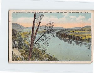 Postcard The Susquehanna From Devil's Elbow Rest Park, Owego, New York