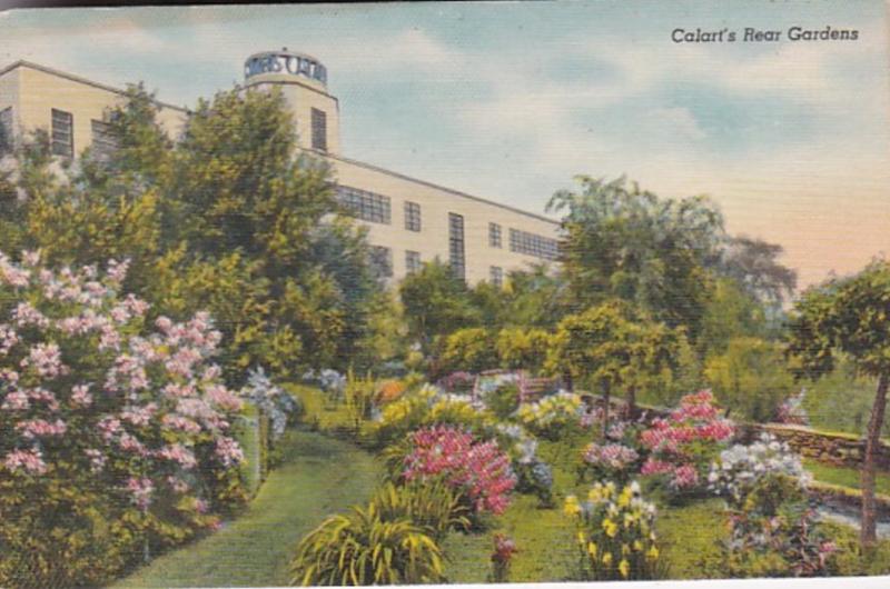 Rhode Island Providence The Calart Building Rear Gardens