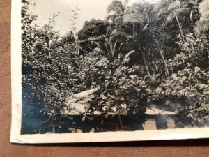 1940s RPPC Papeete Tahiti Street Scene Nature Photos Lot of 2