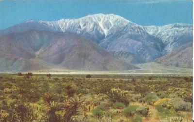 San Jacinto Mountain, California, unused Postcard