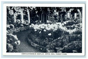 c1940's Chrysanthemum Display Jewel Box Forest Park  Saint Louis MO Postcard
