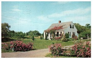 Cape Cod Massachusetts MA Authentic 3/4 Rambler Rose Time Postcard 1974