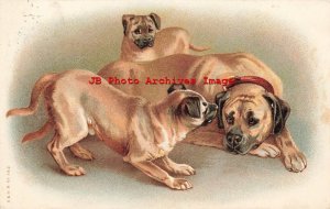 Albrecht & Meister No 562, Hound Dog Puppies Playing with Mother or Father