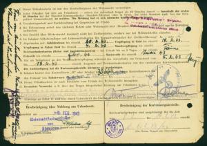 3rd Reich Germany Waffen SS 5th Art Regt Member File 73163