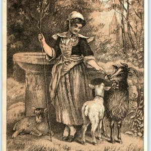 c1880s Lovely Young Woman Feeding Goats Tan Blue Litho Trade Card Cute Lady C30