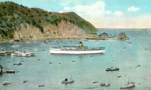 C.1920's Steamer, Bay View, Catalina Island, Calif. Postcard F82