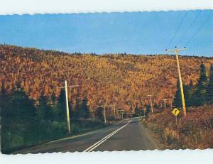 Unused Pre-1980 TOWN VIEW SCENE Perce - Gaspe Peninsula Quebec QC p8957
