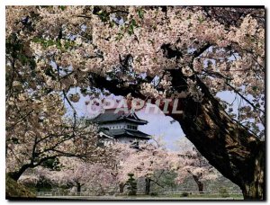 Postcard Modern Cherry blossoms in full bloom at Hirosaki Castle Aomori Pref