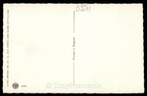 Cats fishing from a boat