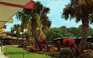 VINTAGE POSTCARD GARDEN AT MAIN ADMINSITRATION BUILDING SILVER SPRINGS FLORIDA