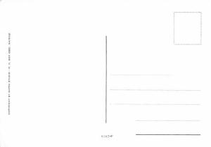 Sweet Potato Croquettes - Recipe