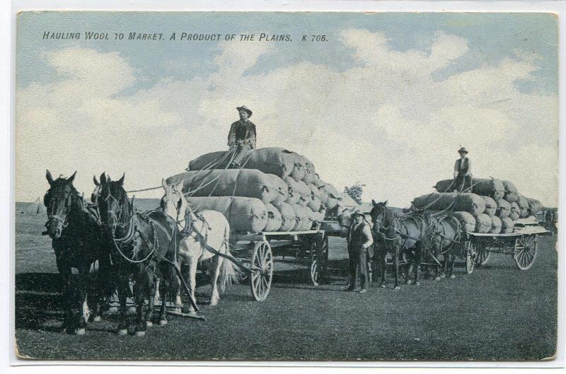 Wool Wagons Product of the Plains Montana Western Ranching 1910c postcard