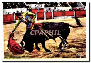 MODERN CARD Bullfight Bull