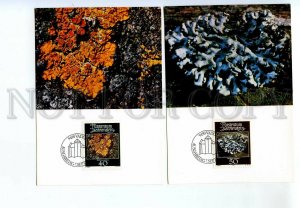 440810 Liechtenstein 1981 year set of First Day maximum cards mosses and lichens