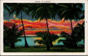 USA Sunset In Florida Vintage Postcard 05.25