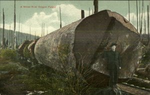 Oregon Logging Man Poses w/ Giant Log c1910 Unused Postcard