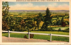 New York Catskills Windham Valley From Mohican Trail 1941 Curteich