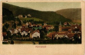 CPA AK Bad Herrenalb- GERMANY (903125)