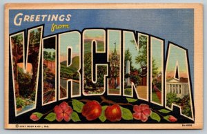 Large Letter Greetings From  Virginia  Postcard