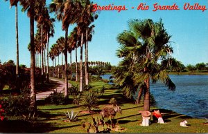 Texas Rio Grande Valley Greetings Showing Palm Lined Road Along Lake