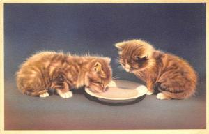 Hudson MA 1952 Two Kittens Sharing Milk Cat Postcard