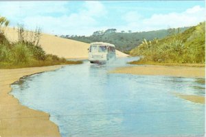 Te Paki Stream on Far North Coastal Park Cape Reinga New Zealand Postcard