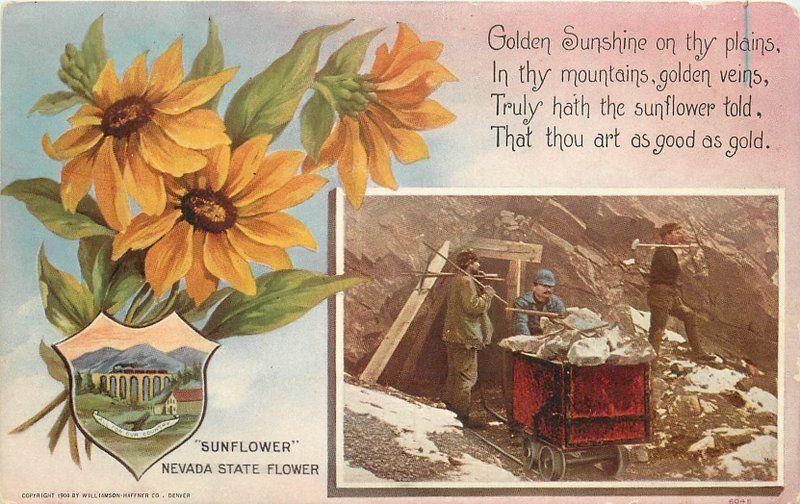 Artist impression C-1910 Mining Ore Cart Sunflower Oregon Haffner postcard 5519