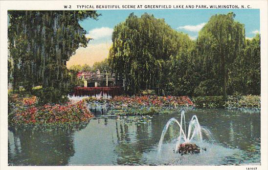 North Carolina Wilmington Beautiful Scene At Greenfield Lake and Park Curteich