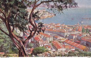 MONTE-CARLO, Monaco, 1900-1910s; A Travers Les Oliviers, TUCK Serie 763 No. 14