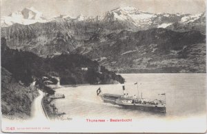 Switzerland Thunersee Beatenbucht Vintage Postcard C136