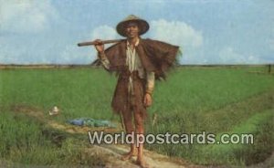 Typical Farmer Taiwan Postcard