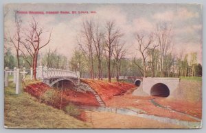 Bridge~Three Bridges In Forest Park St Louis Missouri~Vintage Postcard