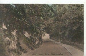 Sussex Postcard - Chantry Lane - Bexhill-on-Sea - Ref 2546A