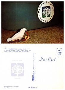 Paradise Park, Honolulu, Hawaii (8458)