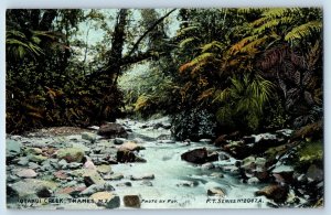 Thames New Zealand Postcard Otanui Creek c1910 Foy Photo Unposted Antique