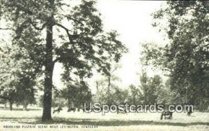 Woodland Pasture - Lexington, KY